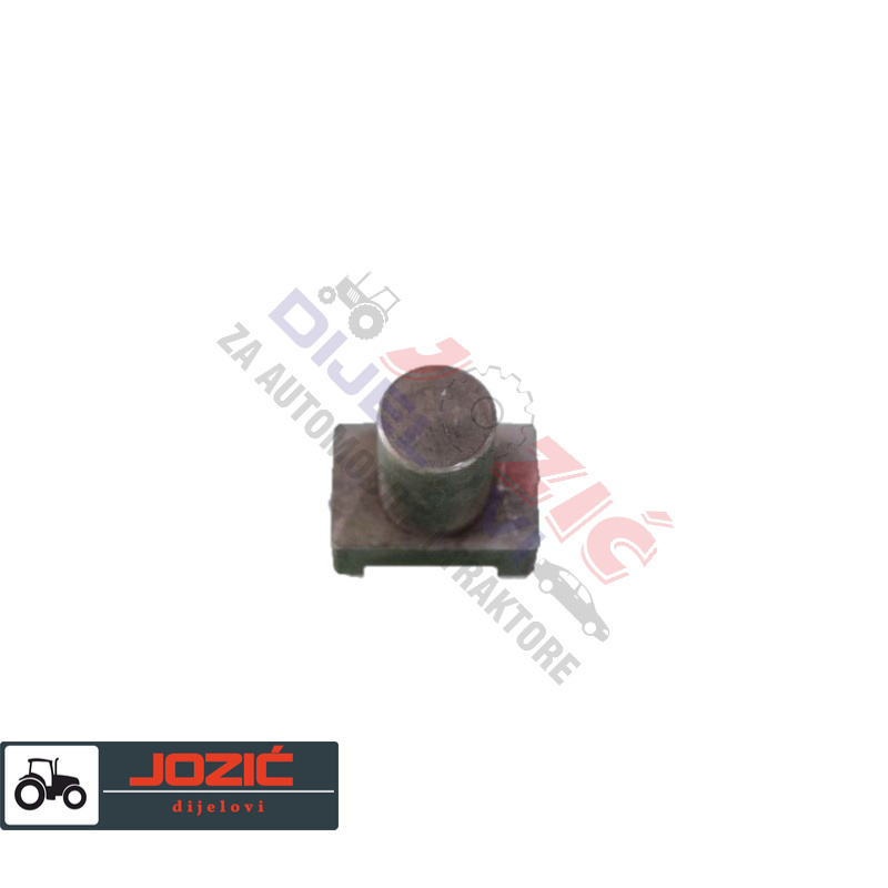 Daisy on the Ohoopee